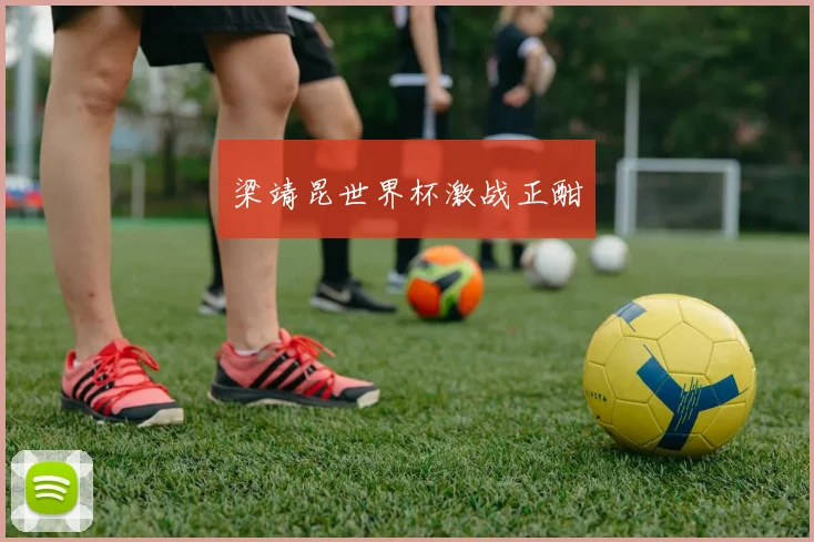 梁靖昆世界杯激战正酣